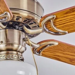 Apiao Deckenventilator Braun, Hellbraun, Holzoptik, Silber, 1-flammig -LEDVANCE Verkäufe apiao deckenventilator h3605745 2