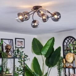 Chehalis Deckenleuchte 12 Cm Klar, Rauchfarben, 6-flammig -LEDVANCE Verkäufe chehalis deckenleuchte 12 cm h9026839 10