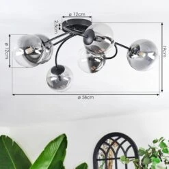 Chehalis Deckenleuchte 12 Cm Klar, Rauchfarben, 6-flammig -LEDVANCE Verkäufe chehalis deckenleuchte 12 cm h9026839 3