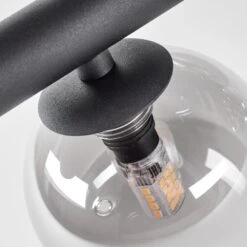 Chehalis Deckenleuchte Glas 10 Cm, 12 Cm, 15 Cm Rauchfarben, 10-flammig -LEDVANCE Verkäufe chehalis deckenleuchte glas 10 cm 12 cm 15 cm h3741191 5