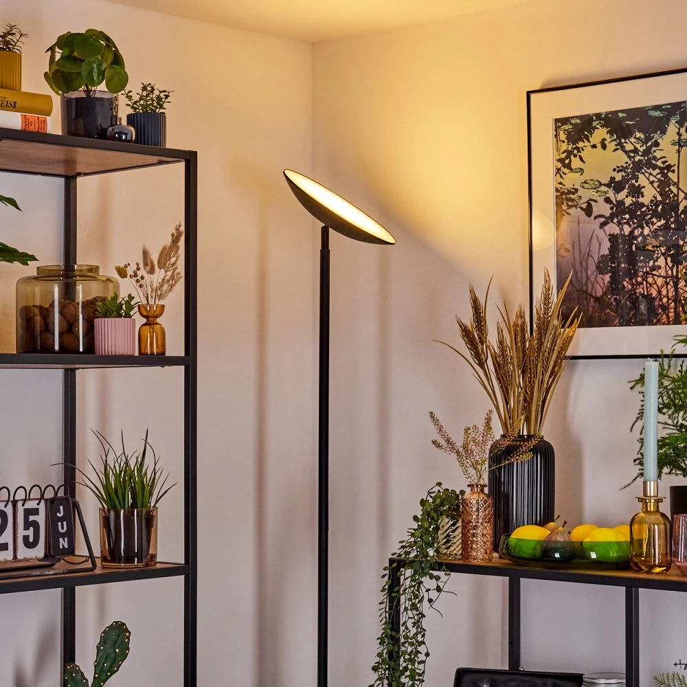 Dillingby Stehleuchte LED Schwarz, 1-flammig 6 Dillingby Stehleuchte LED Schwarz, 1-flammig – Bild 6