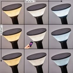 Joennierni Wegeleuchte LED Schwarz, 1-flammig, Bewegungsmelder, Farbwechsler -LEDVANCE Verkäufe joennierni wegeleuchte h3580097 2