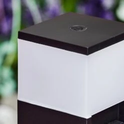 Papacal Steckdosenleuchte LED Schwarz, 1-flammig -LEDVANCE Verkäufe papacal steckdosenleuchte h3584439 2