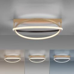 Paul Neuhaus Q-BELUGA Deckenleuchte LED Gold, 1-flammig, Fernbedienung -LEDVANCE Verkäufe paul neuhaus q beluga deckenleuchte 6739 60 4