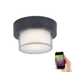 Paul Neuhaus Q-ERIK Wand- Und Deckenleuchte LED Weiß, 1-flammig, Bewegungsmelder, Fernbedienung, Farbwechsler