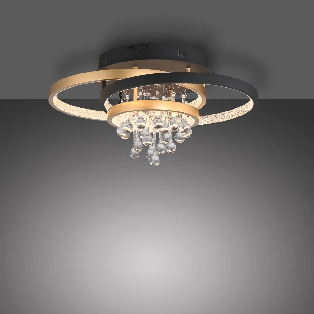 Paul Neuhaus Rotazo Deckenleuchte LED Gold, Schwarz, 1-flammig 6 Paul Neuhaus Rotazo Deckenleuchte LED Gold, Schwarz, 1-flammig – Bild 6