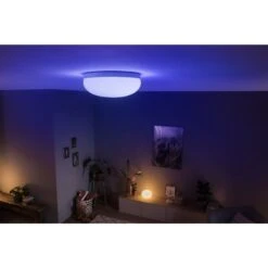 Philips Hue Flourish Deckenlampe LED Weiß, 1-flammig, Farbwechsler -LEDVANCE Verkäufe philips hue flourish deckenlampe 8719514343504 2