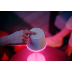 Philips Hue Go Außentischleuchte LED Grün, Weiß, 1-flammig, Farbwechsler -LEDVANCE Verkäufe philips hue go aussentischleuchte 8719514404571 10