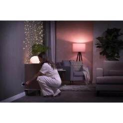 Philips Hue Smart Plug Steckdose DE/AT Weiß -LEDVANCE Verkäufe philips hue smart plug steckdose de at 8719514342309 3