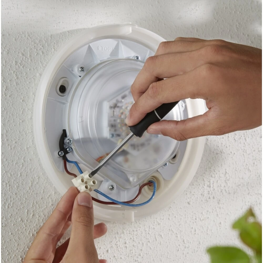 Philips Hue White & Color Ambiance Daylo Wandleuchte LED Schwarz, 1-flammig 2 Philips Hue White & Color Ambiance Daylo Wandleuchte LED Schwarz, 1-flammig – Bild 2