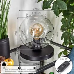 Ripoll Tischleuchte Glas 20cm Klar, 1-flammig -LEDVANCE Verkäufe ripoll tischleuchte glas 20cm h3781890 3