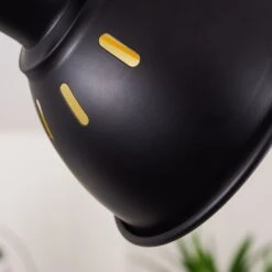 Tina Deckenleuchte Holz Dunkel, Schwarz, 1-flammig -LEDVANCE Verkäufe tina deckenleuchte h3403273 6